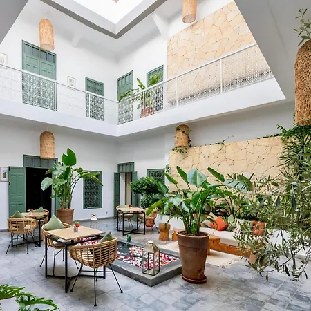 Riad Villa Wengé&Spa-2